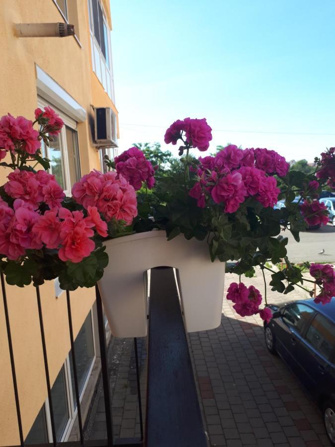 Angel Apartament Sibiu Ngoại thất bức ảnh